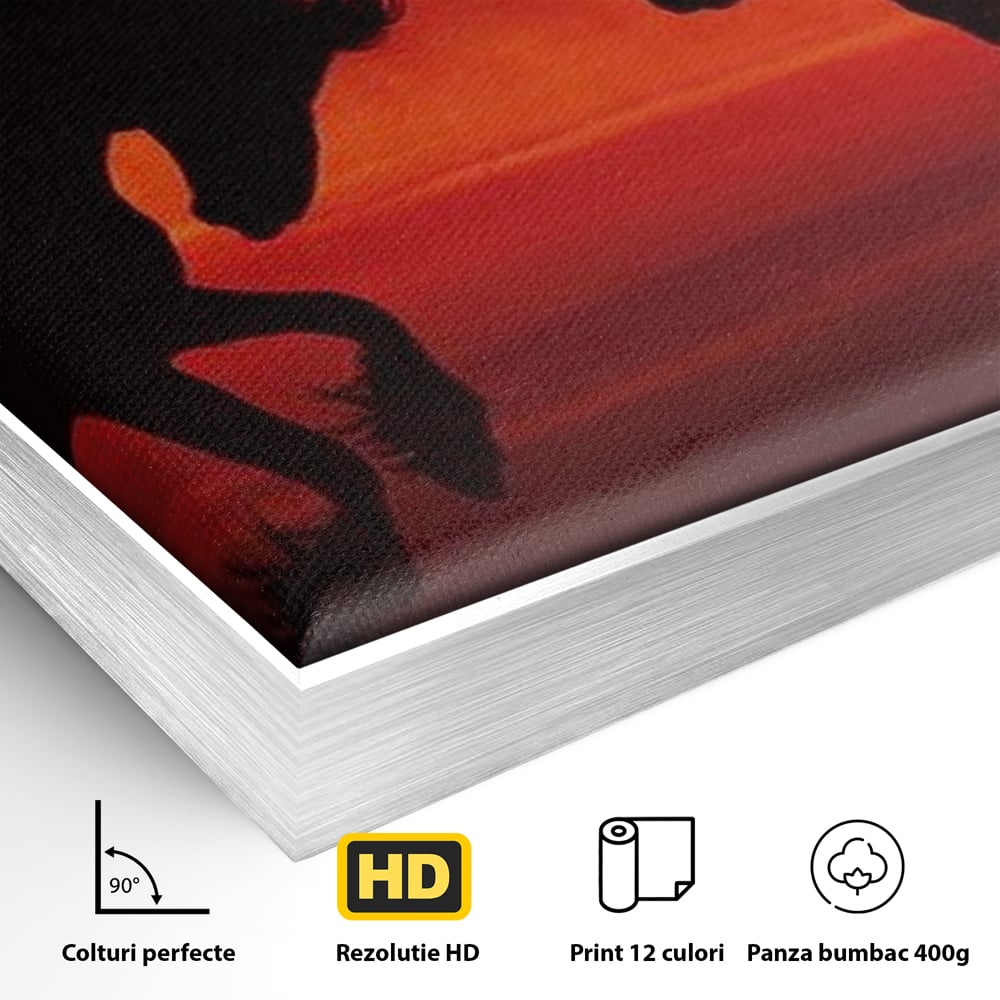 Detaliu al suprafetei: tablou canvas cu siluete de cai in apus, in rama de aluminiu argintiu